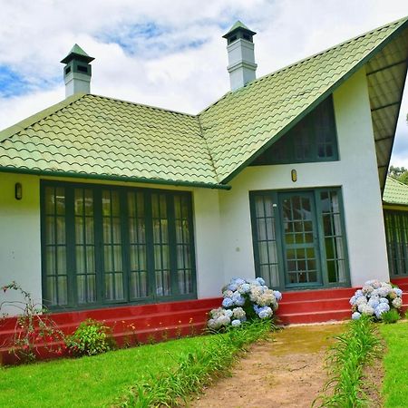 Hotel Camp Noel Munnar Exteriér fotografie